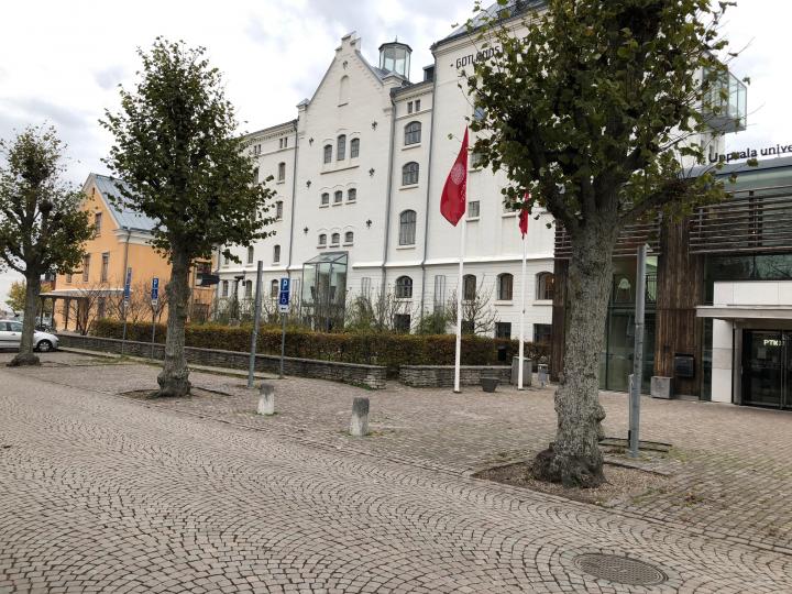 Visby Högskola/Maltfabriken