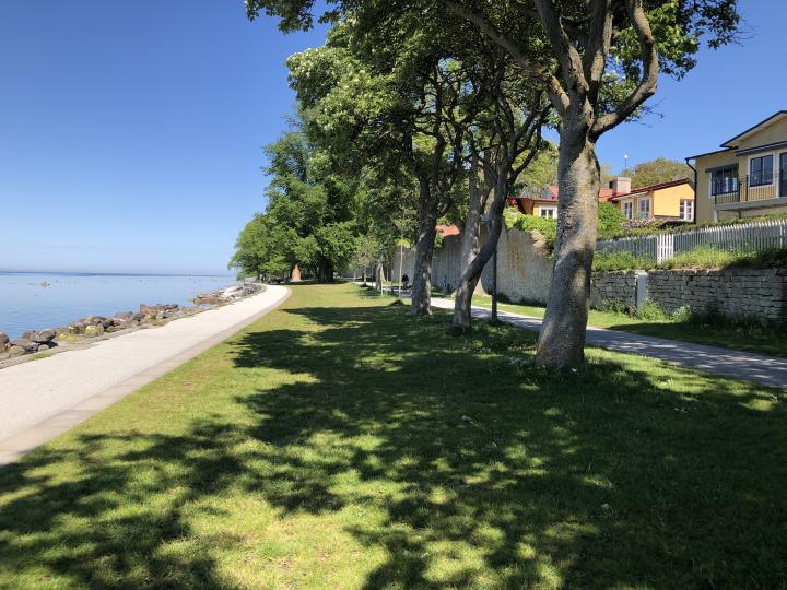 Strandpromenaden vid ringmuren.